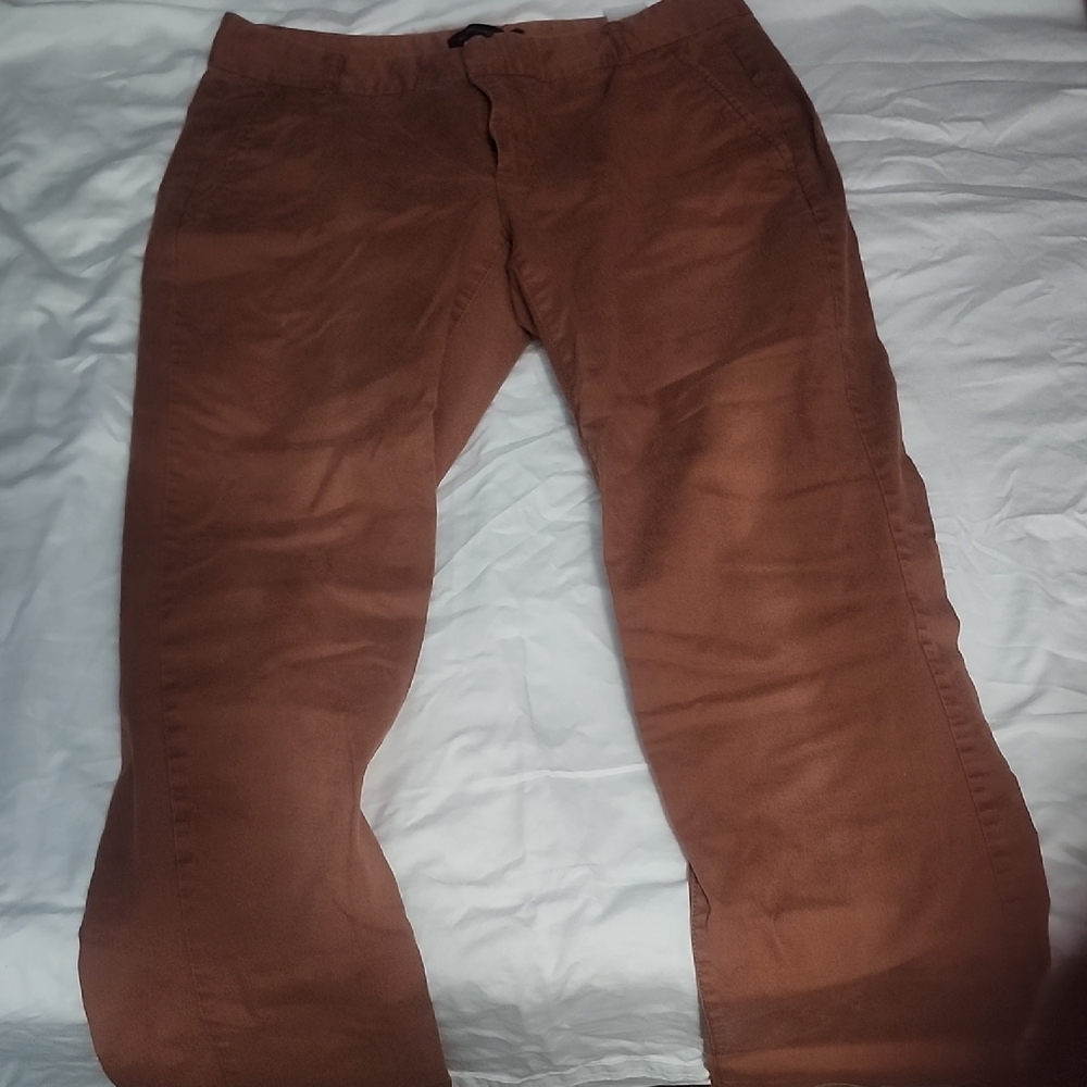 Women's Brownish-Orange Pants